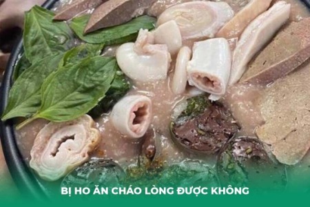Bị Ho Ăn Cháo Lòng Được Không? Góc Nhìn Khoa Học Về Dinh Dưỡng Khi Bị Ho