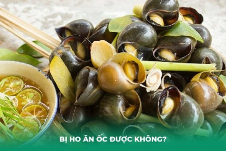 Bị ho ăn ốc được không? Lưu ý quan trọng cần biết