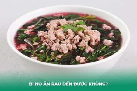 Bị Ho Ăn Rau Dền Được Không? 5 Nhóm Người Cần Tránh