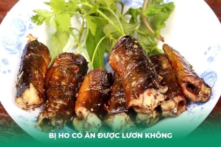 Bị Ho Có Ăn Được Lươn Không? Phân Tích Toàn Diện và Lời Khuyên An Toàn