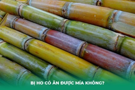 Bị Ho Có Ăn Được Mía Không? Lợi Ích Bất Ngờ và Cách Dùng Đúng