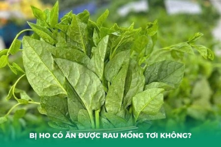 Bị Ho Có Ăn Được Rau Mồng Tơi Không? Lợi Ích Và Cách Dùng Đúng