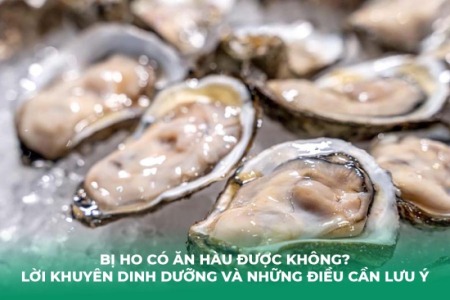 Bị Ho Có Ăn Hàu Được Không? Lời Khuyên Dinh Dưỡng và Những Điều Cần Lưu Ý