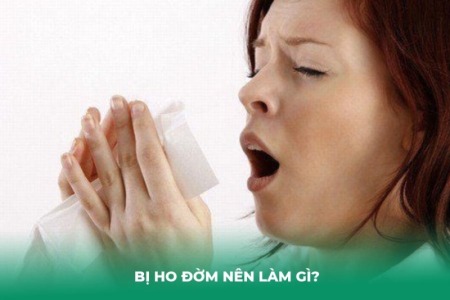 Bị Ho Có Đờm Nên Làm Gì? Cách Trị Hiệu Quả Tại Nhà