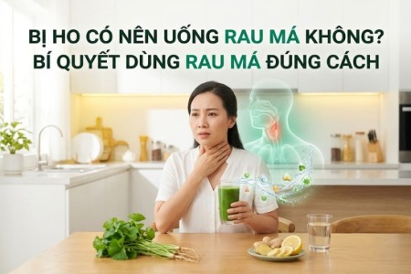 Bị Ho Có Nên Uống Rau Má Không? Bí Quyết Dùng Rau Má Đúng Cách
