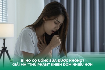 Bị Ho Có Uống Sữa Được Không? Giải Mã “Thủ Phạm” Khiến Đờm Nhiều Hơn