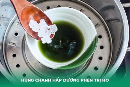 Hướng Dẫn Cách Làm Húng Chanh Hấp Đường Phèn Trị Ho Tại Nhà
