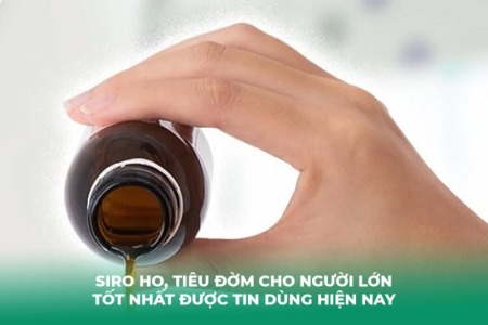 Siro Ho, Tiêu Đờm Cho Người Lớn Tốt Nhất Được Tin Dùng Hiện Nay