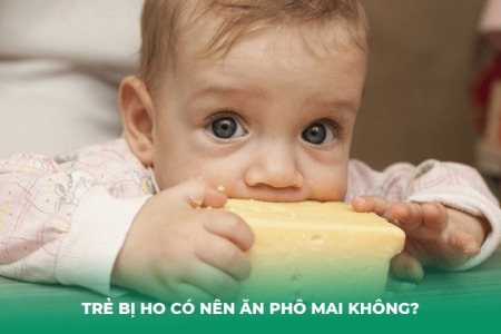 Trẻ Bị Ho Có Nên Ăn Phô Mai Không? Lời Giải Đáp Khoa Học Cho Mẹ