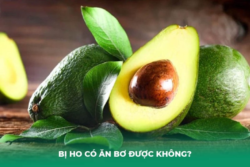 Bị Ho Có Ăn Bơ Được Không? Giải Đáp Dưới Góc Nhìn Dinh Dưỡng Học