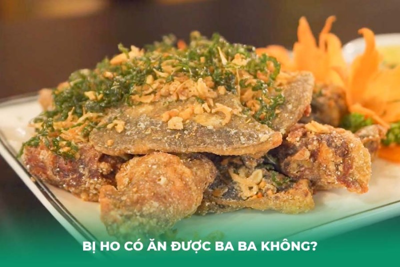 Bị Ho Có Ăn Được Ba Ba Không? Lời Khuyên Cẩn Trọng Từ Chuyên Gia