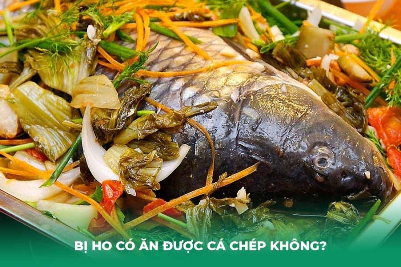 Bị Ho Có Ăn Được Cá Chép Không? Lợi Ích Lưu Ý An Toàn