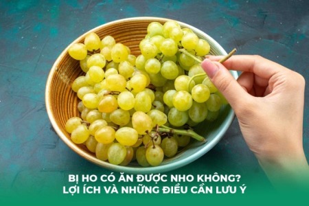 Bị Ho Có Ăn Được Nho Không? Lợi Ích Và Những Điều Cần Lưu Ý