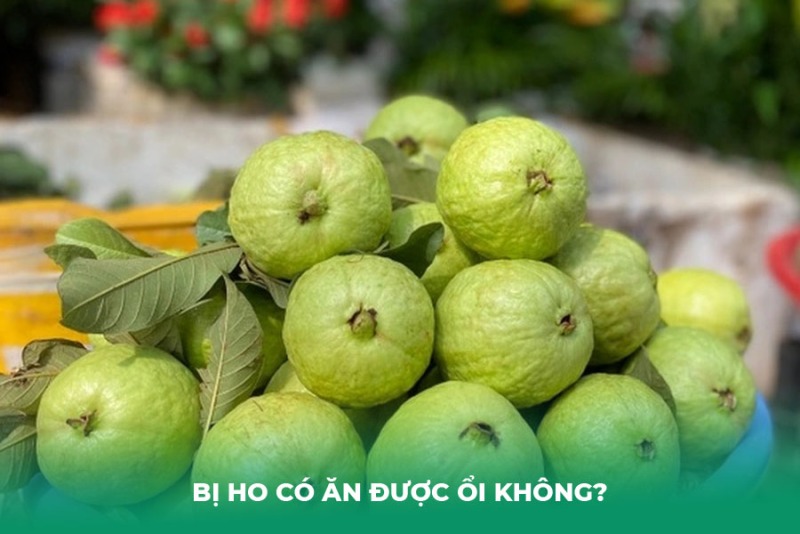 Bị Ho Có Ăn Được Ổi Không? Lời Giải Đáp Từ Chuyên Gia
