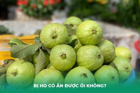 Bị Ho Có Ăn Được Ổi Không? Lời Giải Đáp Từ Chuyên Gia