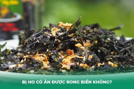 Bị Ho Có Ăn Được Rong Biển Không? Lợi Ích Và Những Điều Cần Cân Nhắc