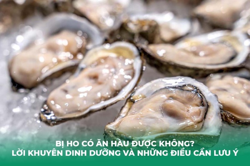 Bị Ho Có Ăn Hàu Được Không? Lời Khuyên Dinh Dưỡng và Những Điều Cần Lưu Ý
