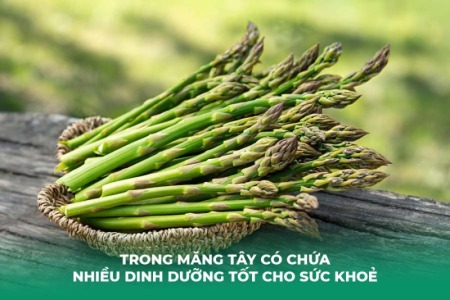 Bị Ho Có Ăn Măng Được Không? Cách Sử Dụng An Toàn Khi Bị Ho