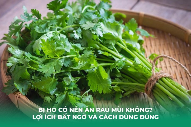 Bị Ho Có Nên Ăn Rau Mùi Không? Lợi Ích Bất Ngờ và Cách Dùng Đúng
