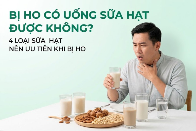 Bị Ho Có Uống Sữa Hạt Được Không? 4 Loại Sữa Hạt Nên Ưu Tiên Khi Bị Ho