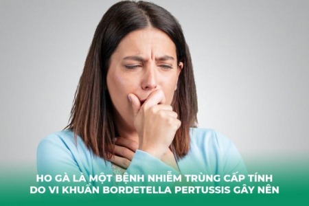 Bị Ho Gà Nên Kiêng Ăn Gì?