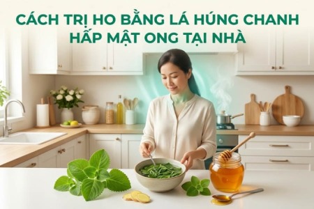 Cách Trị Ho Bằng Lá Húng Chanh Hấp Mật Ong Tại Nhà