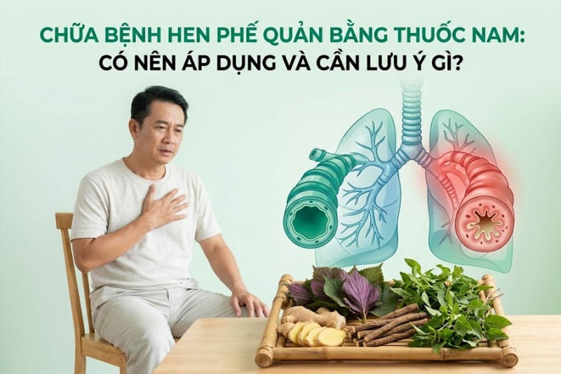 Chữa Bệnh Hen Phế Quản Bằng Thuốc Nam: Có Nên Áp Dụng Và Cần Lưu Ý Gì?