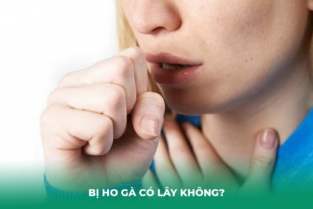 Giải Đáp: Bị Ho Gà Có Lây Không? Lây Qua Đường Nào?