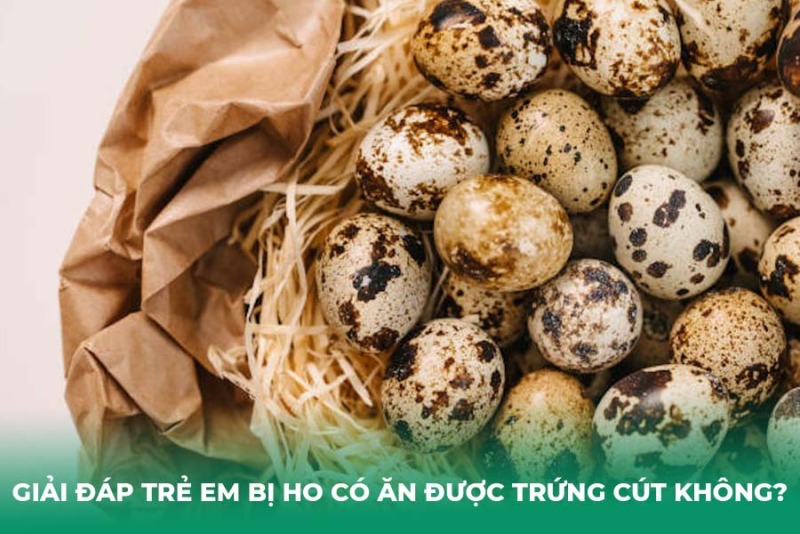 Giải Đáp Trẻ Em Bị Ho Có Ăn Được Trứng Cút Không?