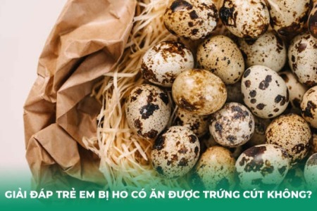 Giải Đáp Trẻ Em Bị Ho Có Ăn Được Trứng Cút Không?