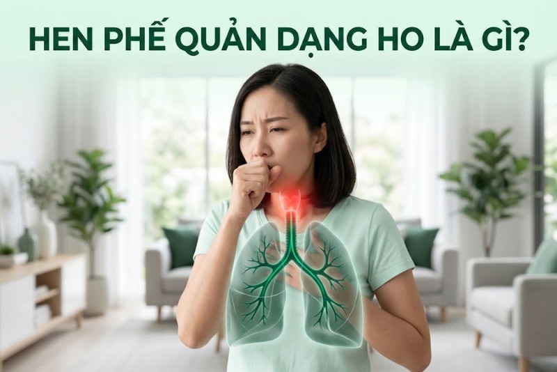Hen Phế Quản Dạng Ho Là Gì? Dấu Hiệu Nhận Biết Và Cách Phân Biệt