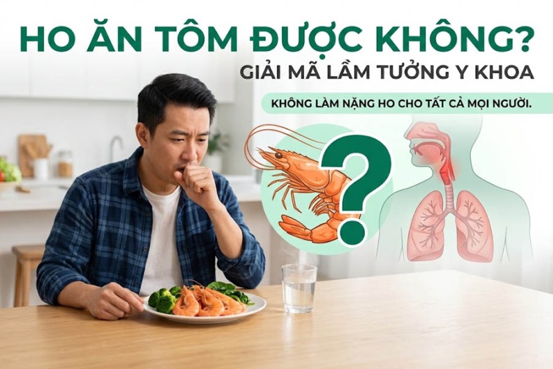 Ho Ăn Tôm Được Không? Giải Mã Lầm Tưởng Y Khoa