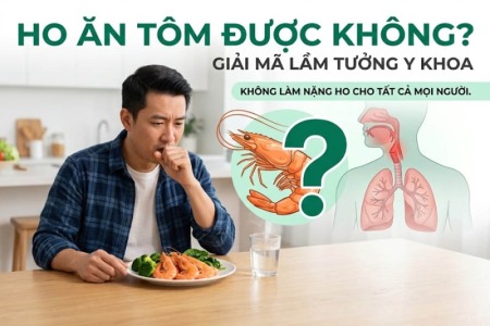 Ho Ăn Tôm Được Không? Giải Mã Lầm Tưởng Y Khoa