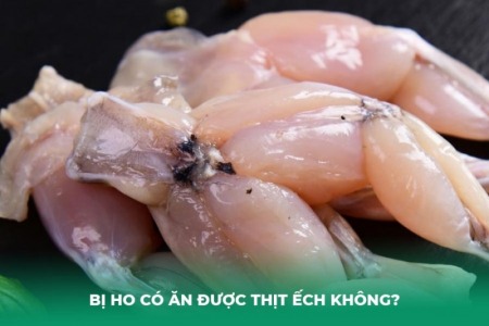 Ho Có Ăn Được Thịt Ếch Không? Lưu Ý Cần Biết