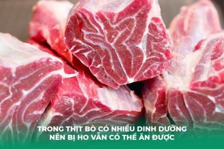 Ho Có Đờm Ăn Thịt Bò Được Không? Lời Khuyên Từ Chuyên Gia