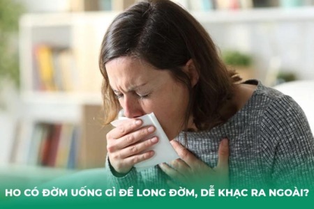 Ho Có Đờm Uống Gì Để Long Đờm, Dễ Khạc Ra Ngoài?