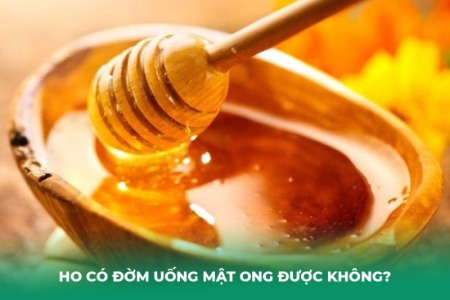 Ho Có Đờm Uống Mật Ong Được Không? Cách Dùng Đúng Để Tiêu Đờm, Giảm Ho