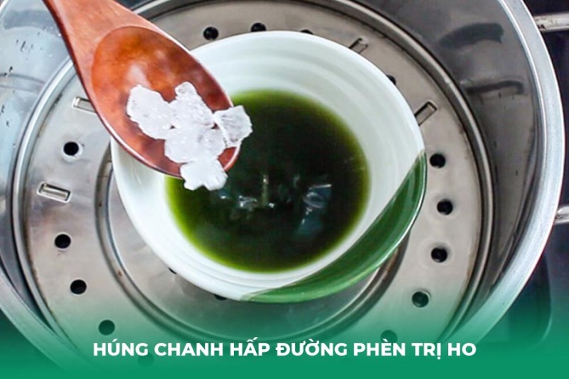 Hướng Dẫn Cách Làm Húng Chanh Hấp Đường Phèn Trị Ho Tại Nhà