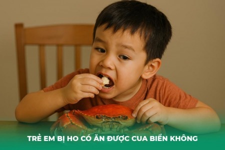 Trẻ Em Bị Ho Có Ăn Được Cua Biển Không? Lời Khuyên Từ Chuyên Gia