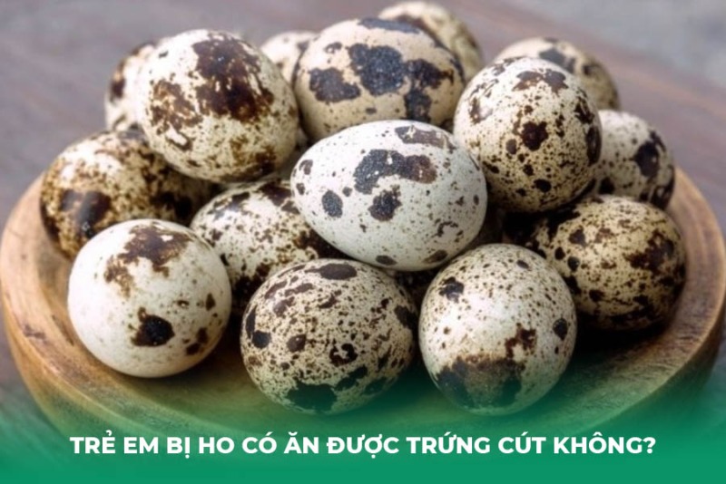 Trẻ Em Bị Ho Có Ăn Được Trứng Cút Không?