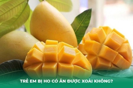 Trẻ Em Bị Ho Có Ăn Được Xoài Không?
