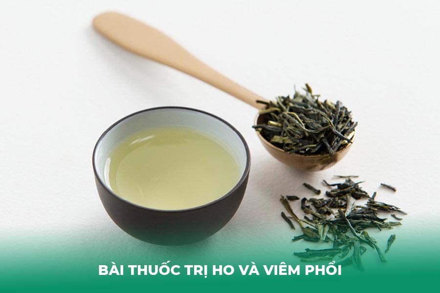 Bài thuốc trị ho và viêm phổi