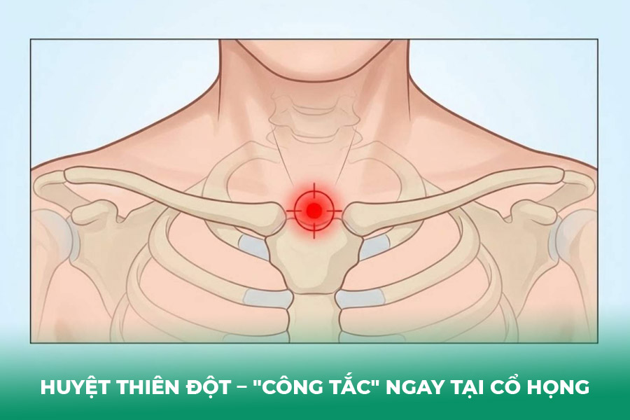 Huyệt Thiên Đột – 