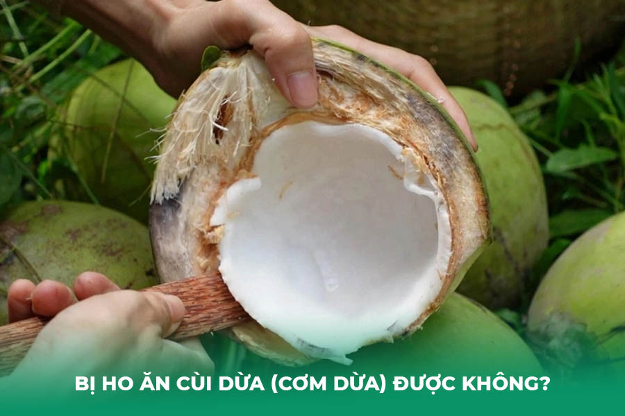 Bị Ho Ăn Cùi Dừa (Cơm Dừa) Được Không?