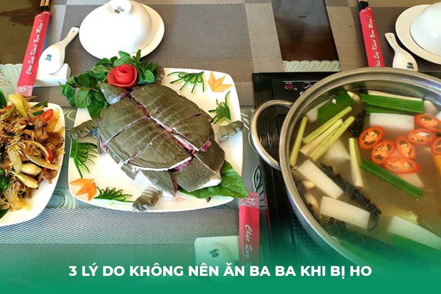 3 Lý Do Không Nên Ăn Ba Ba Khi Bị Ho