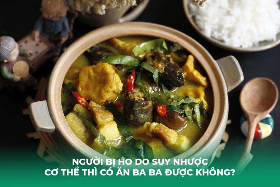 Người bị ho do suy nhược cơ thể thì có ăn ba ba được không?
