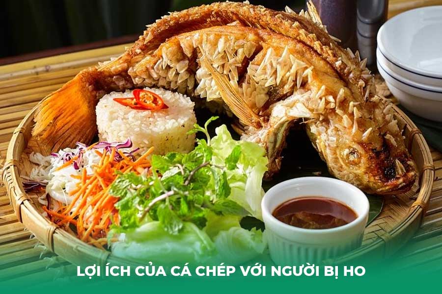 Lợi Ích Của Cá Chép Với Người Bị Ho