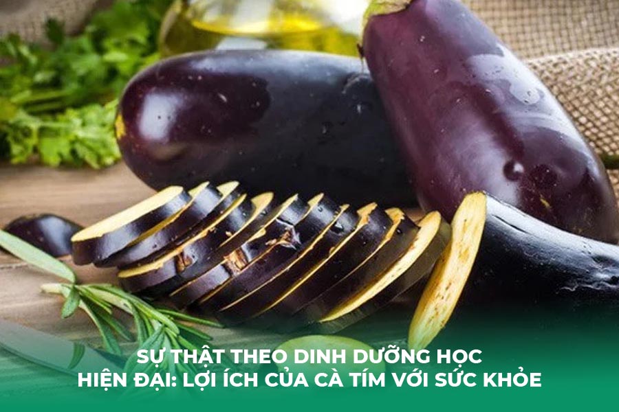 Sự Thật Theo Dinh Dưỡng Học Hiện Đại: Lợi Ích Của Cà Tím Với Sức Khỏe