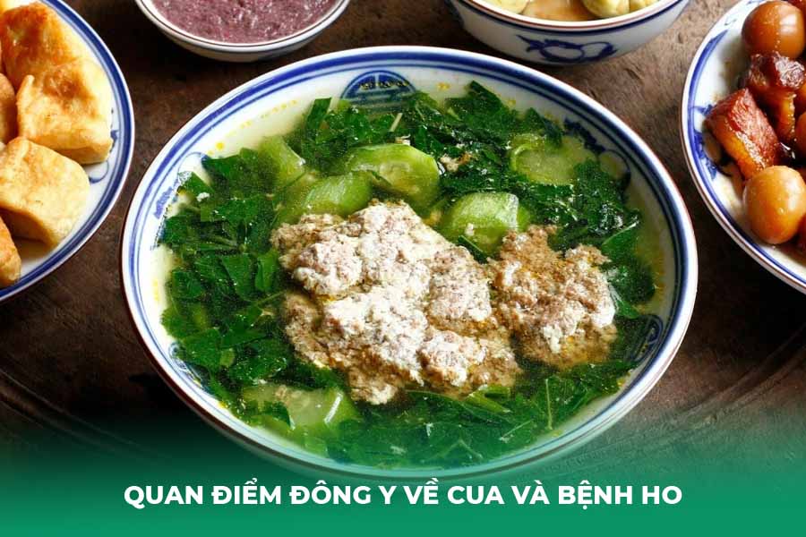 Quan Điểm Đông Y Về Cua Và Bệnh Ho