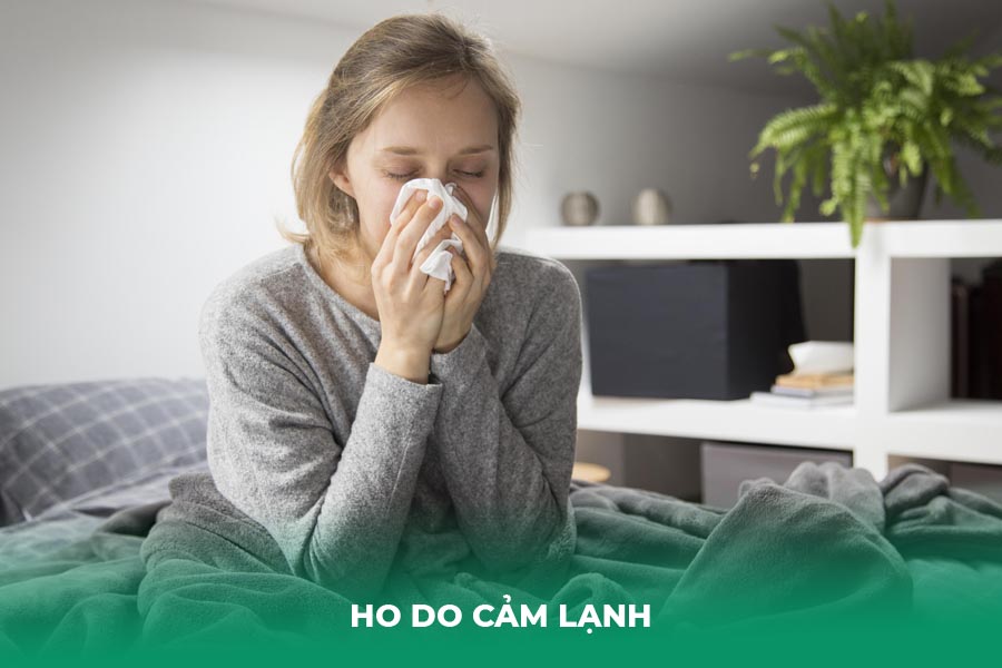 Trường Hợp Nào Dùng Lá Lốt Trị Ho Hiệu Quả Nhất?